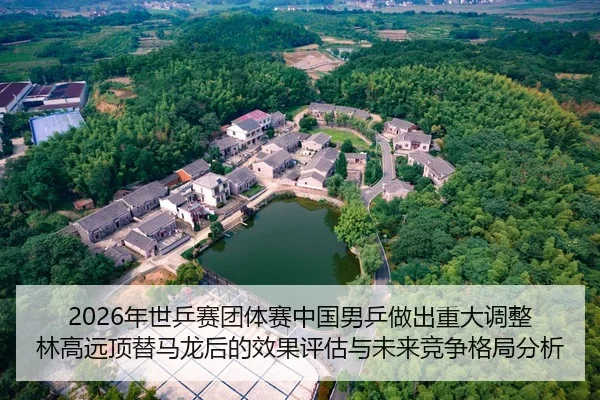 nian-shi-ping-sai-tuan-ti-sai-zhong-guo-nan-ping-zuo-chu-zhong-da-tiao-zheng-lin-gao-yuan-ding-ti-ma-long-hou-de-xiao-2-700.jpg